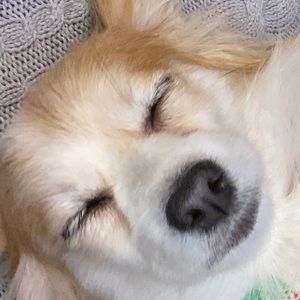 Meet your Posher, Carrie